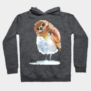 Olllie the Owl Hoodie